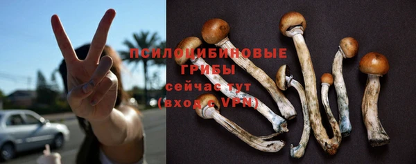 гашик Бронницы