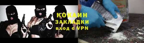 соль ск Бородино