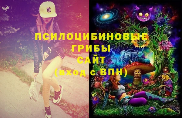 гашик Бронницы