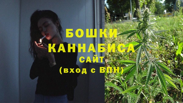 гашик Бронницы