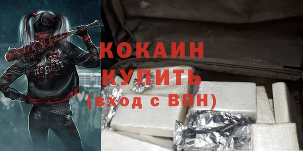 соль ск Бородино